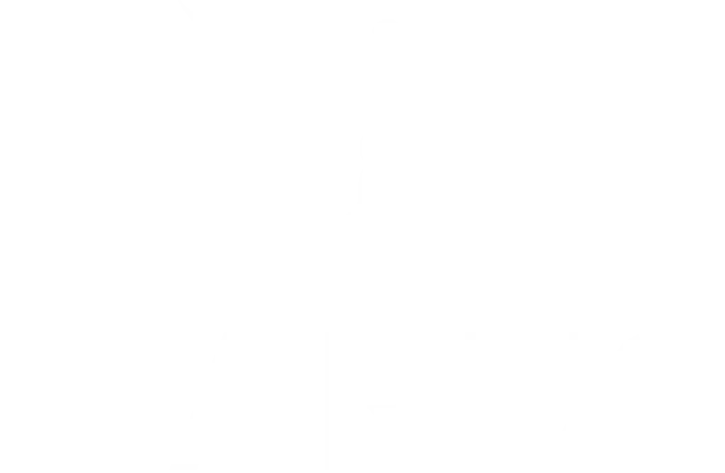 Icarus Medical logo