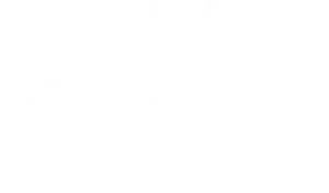 Falcon Nutrition white logo